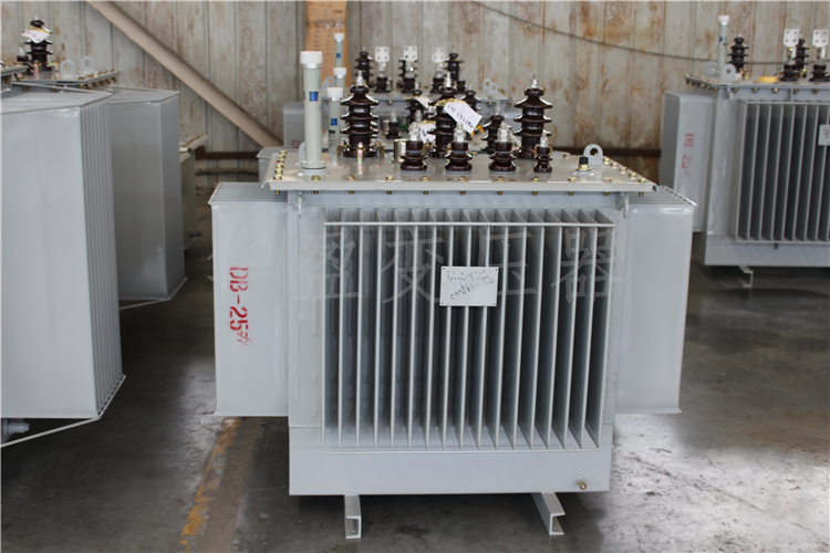 益阳S20-800kVA/10kV/0.4kV变压器